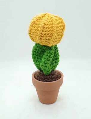 Cactus Decorativos - Imagen 3