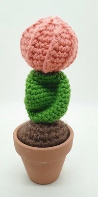Cactus Decorativos - Imagen 2