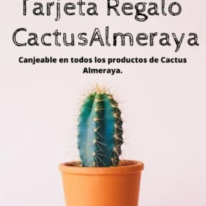 Tarjeta regalo