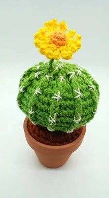 Cactus Decorativos - Imagen 8