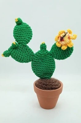 Cactus Decorativos - Imagen 7