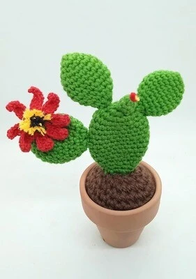 Cactus Decorativos - Imagen 6
