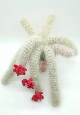 Cactus Decorativos - Imagen 5