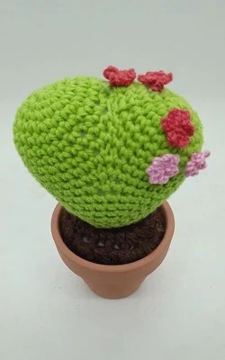 Cactus Decorativos - Imagen 4